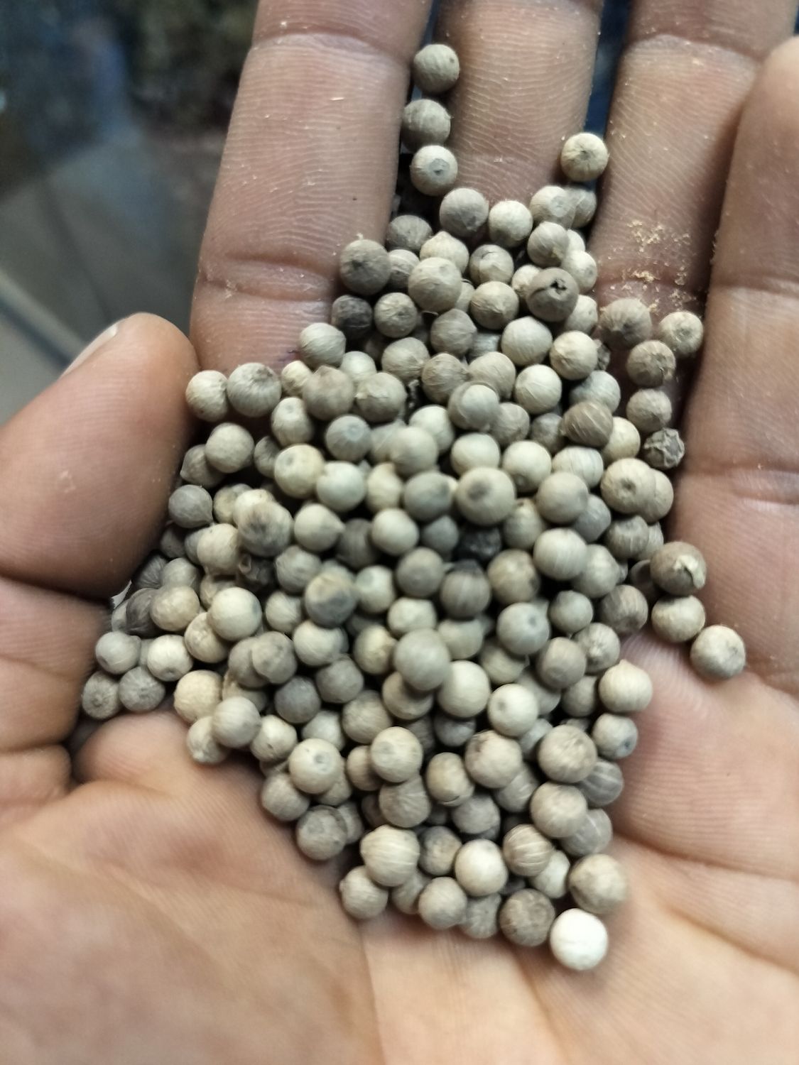 White pepper 1kg