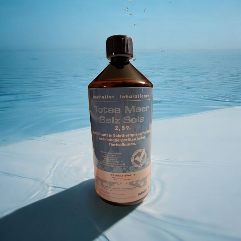 2,5% TotesMeerSalz Sole 1 Liter