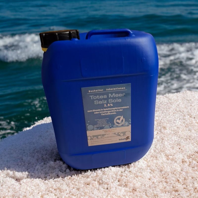 10 Liter TotesMeerSalzsole  2,5%