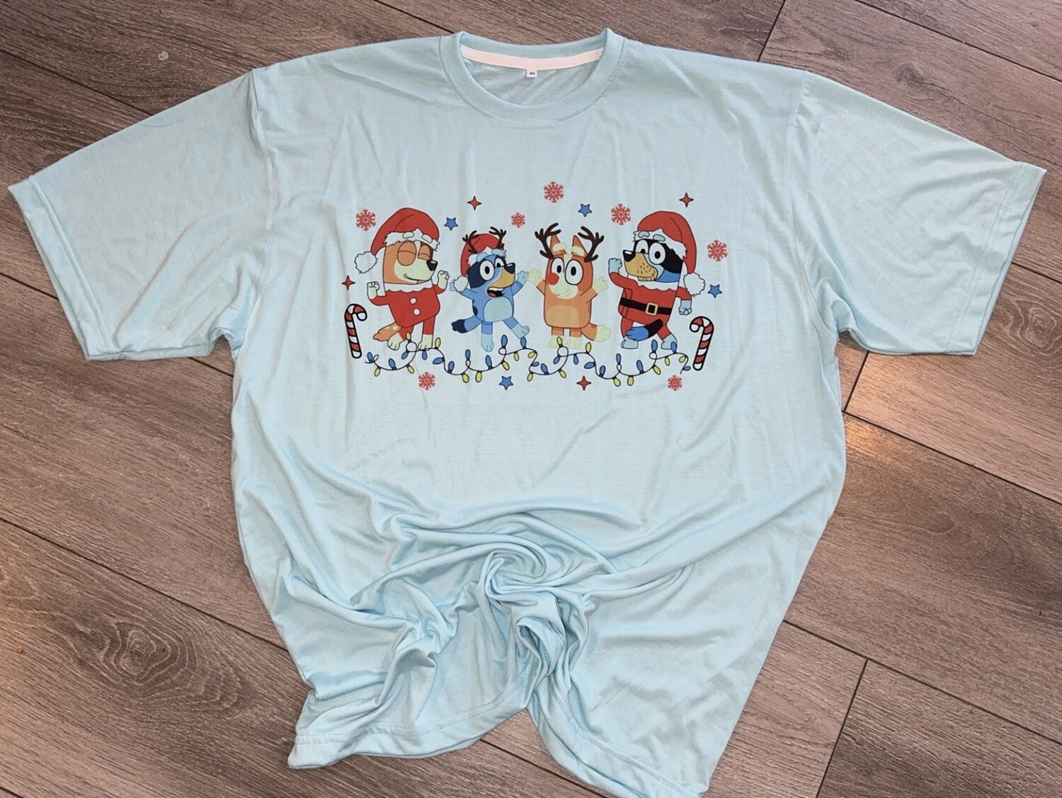 Bluey Family Christmas