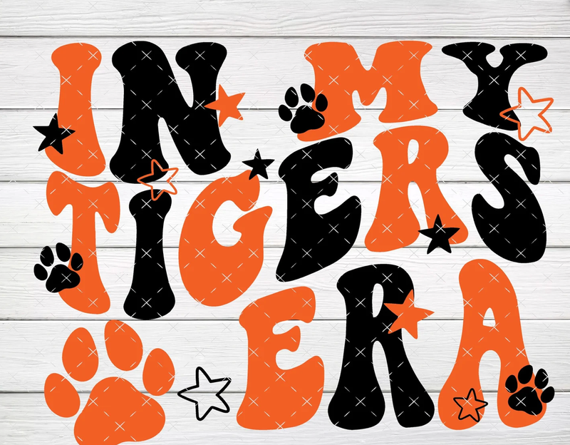 In My Tigers Era