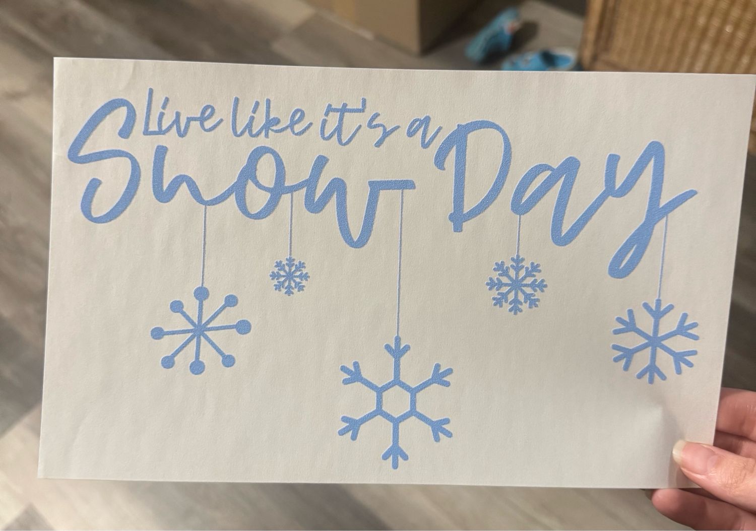 Live Like It’s A Snow Day