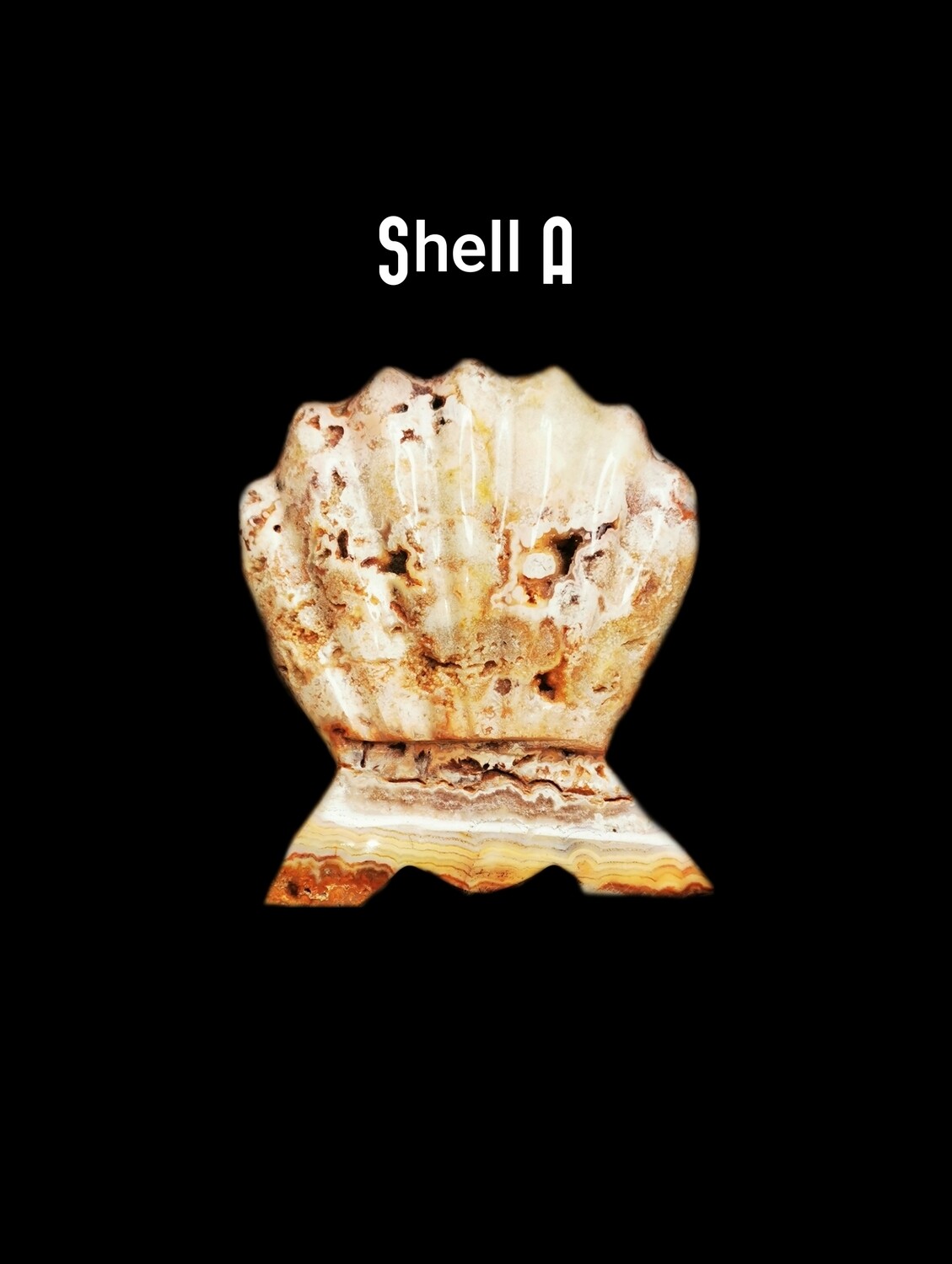 Crazy Lace Agate Shell Carvings