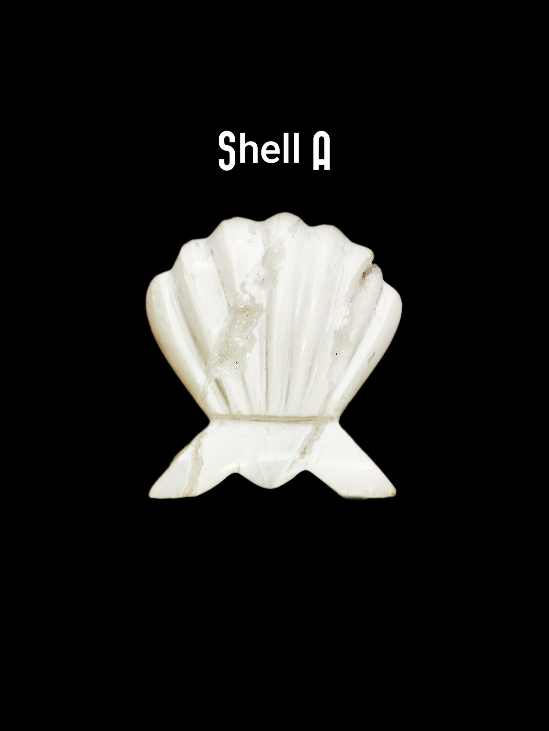 Snow Agate Shells