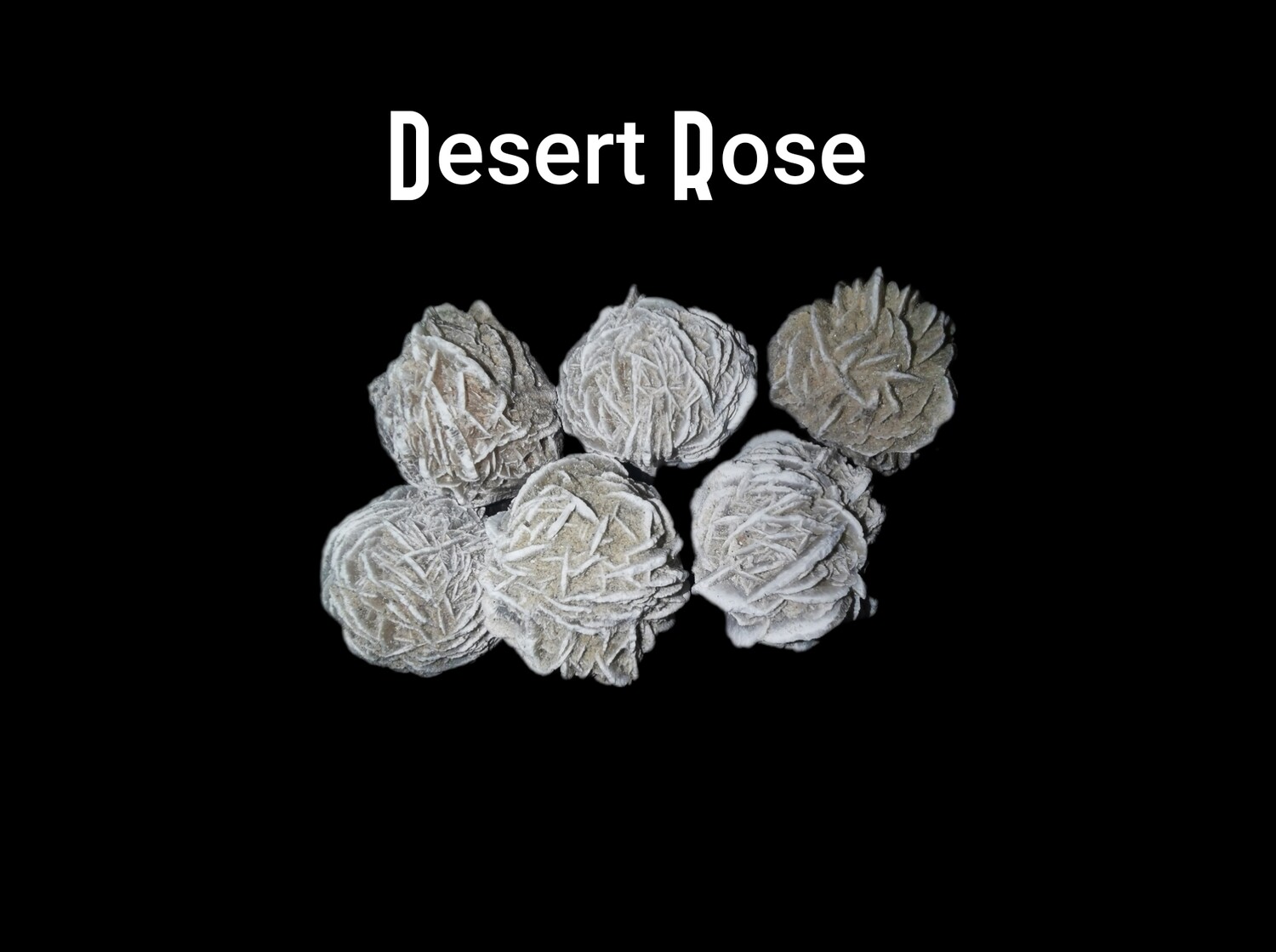 Desert Rose 