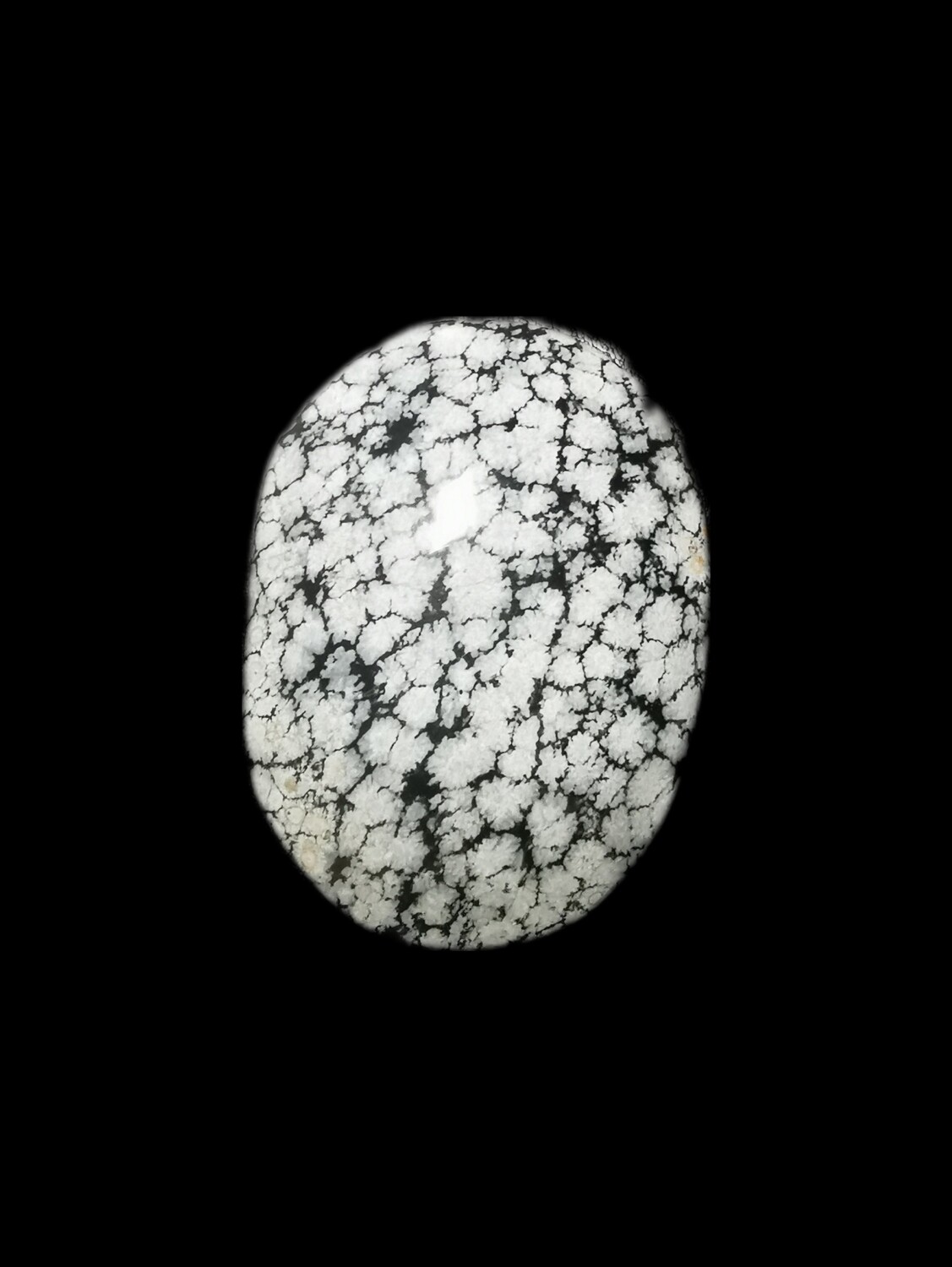 Palmstone Snowflake Obsidian