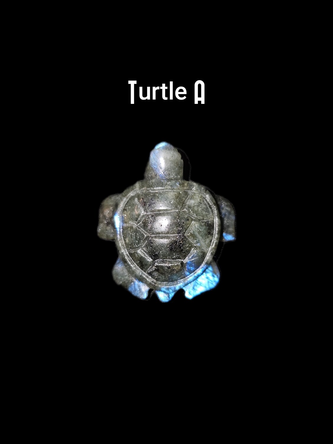 Labradorite Turtles