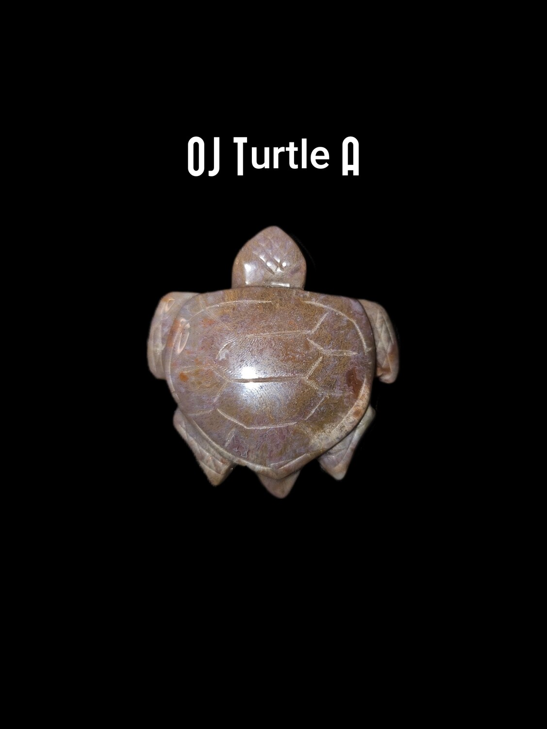Ocean Jasper Turtles