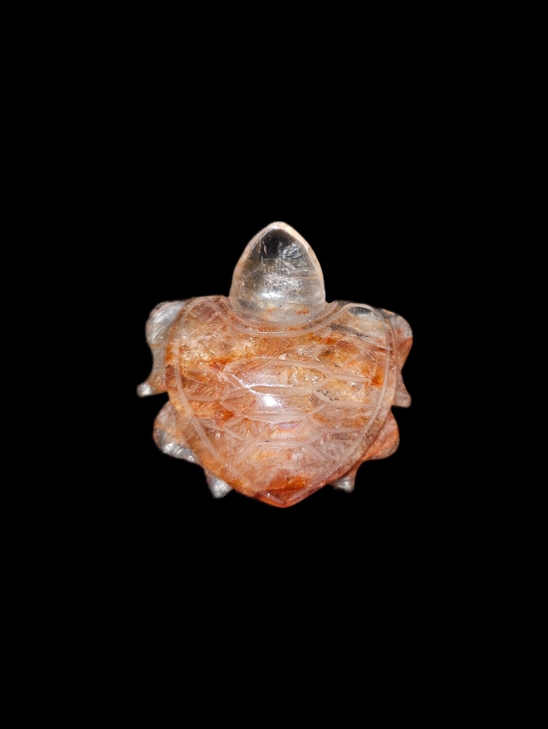 Fire Quartz Turtle