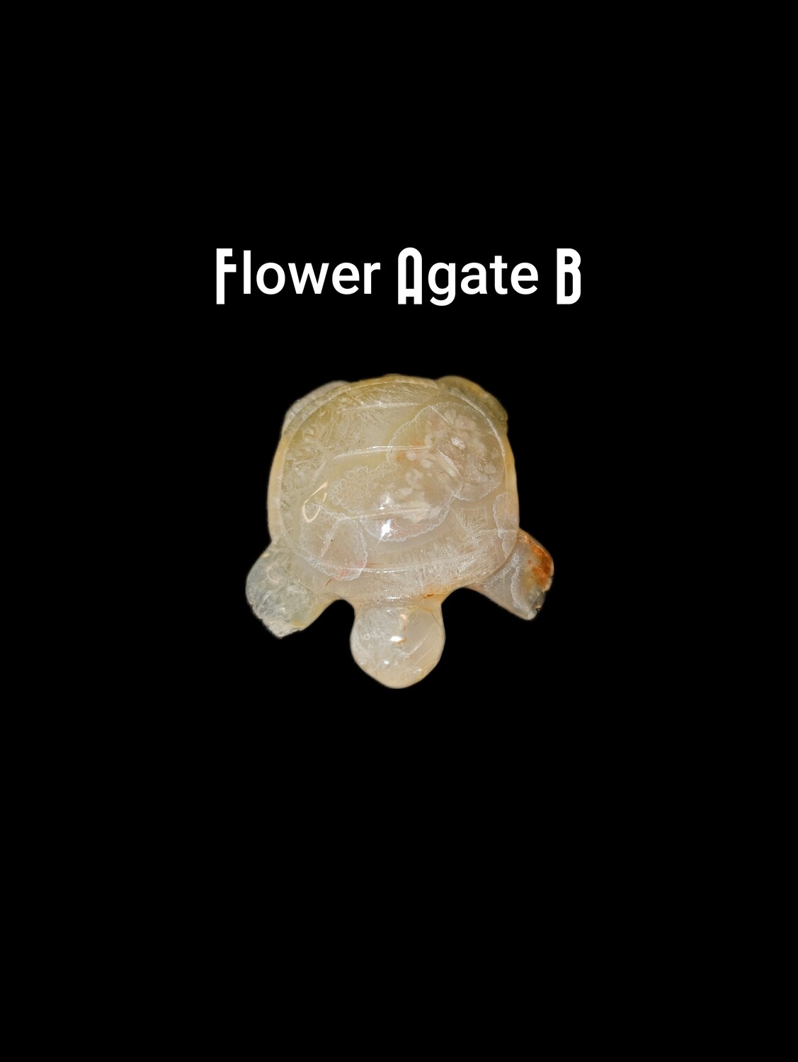 Flower Agate Turtles