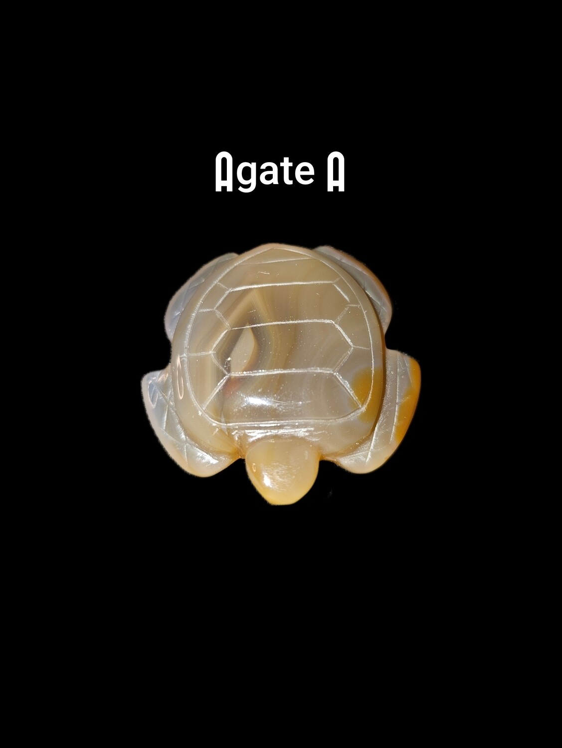 Agate Turtles