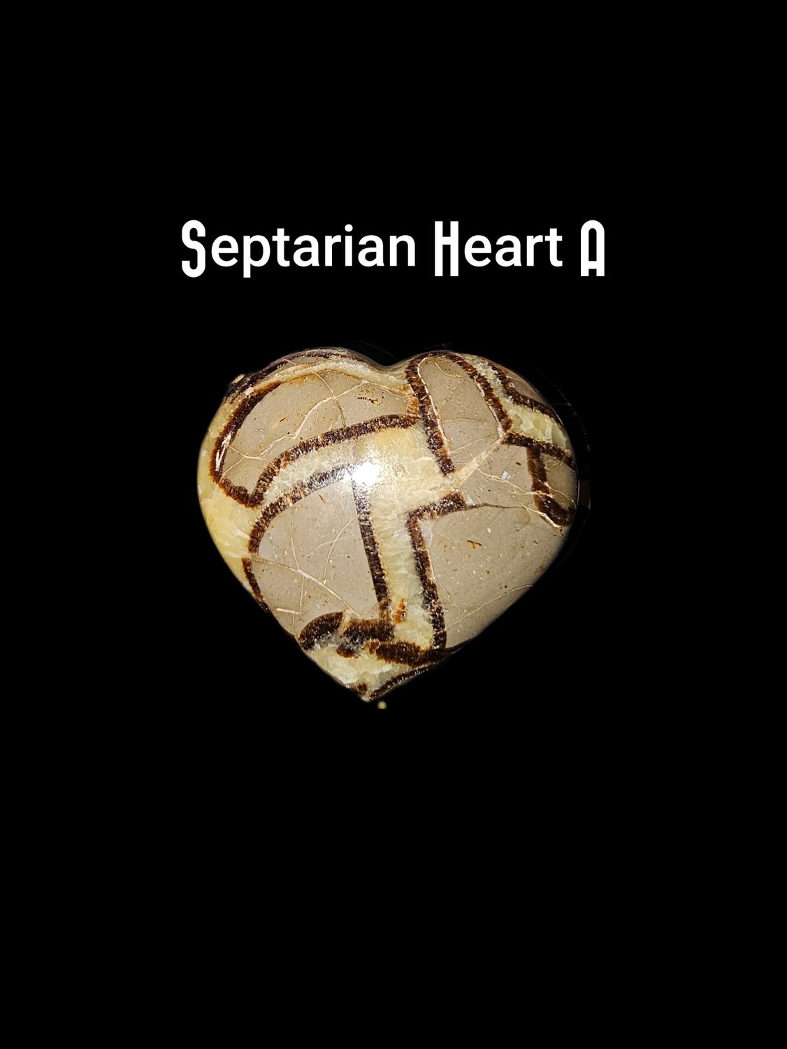 Hearts Septarian