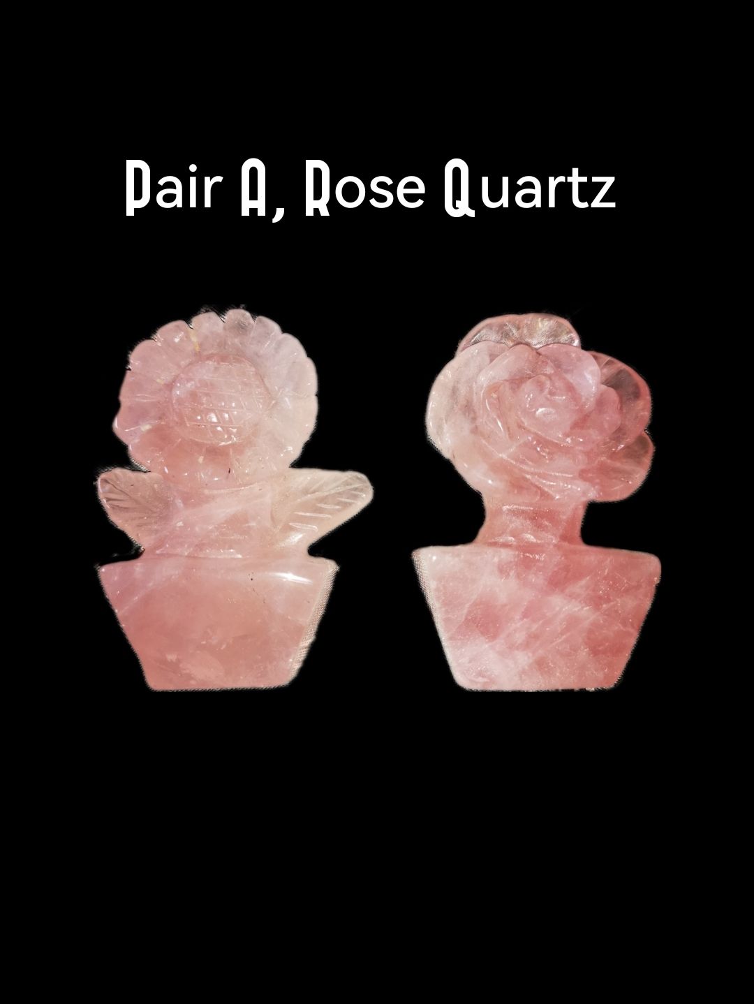 Pair of Flowers