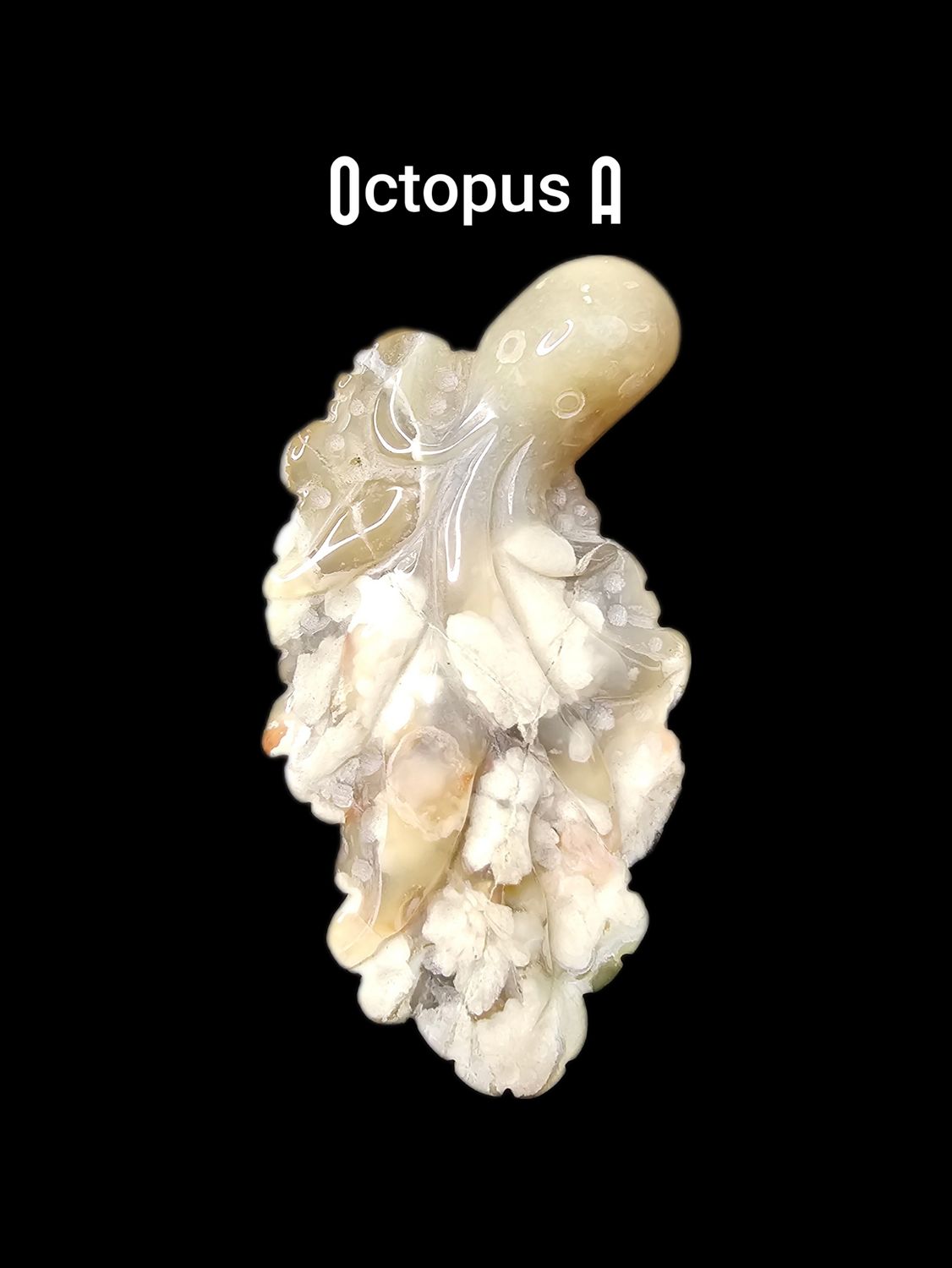 Flower Agate Octopus