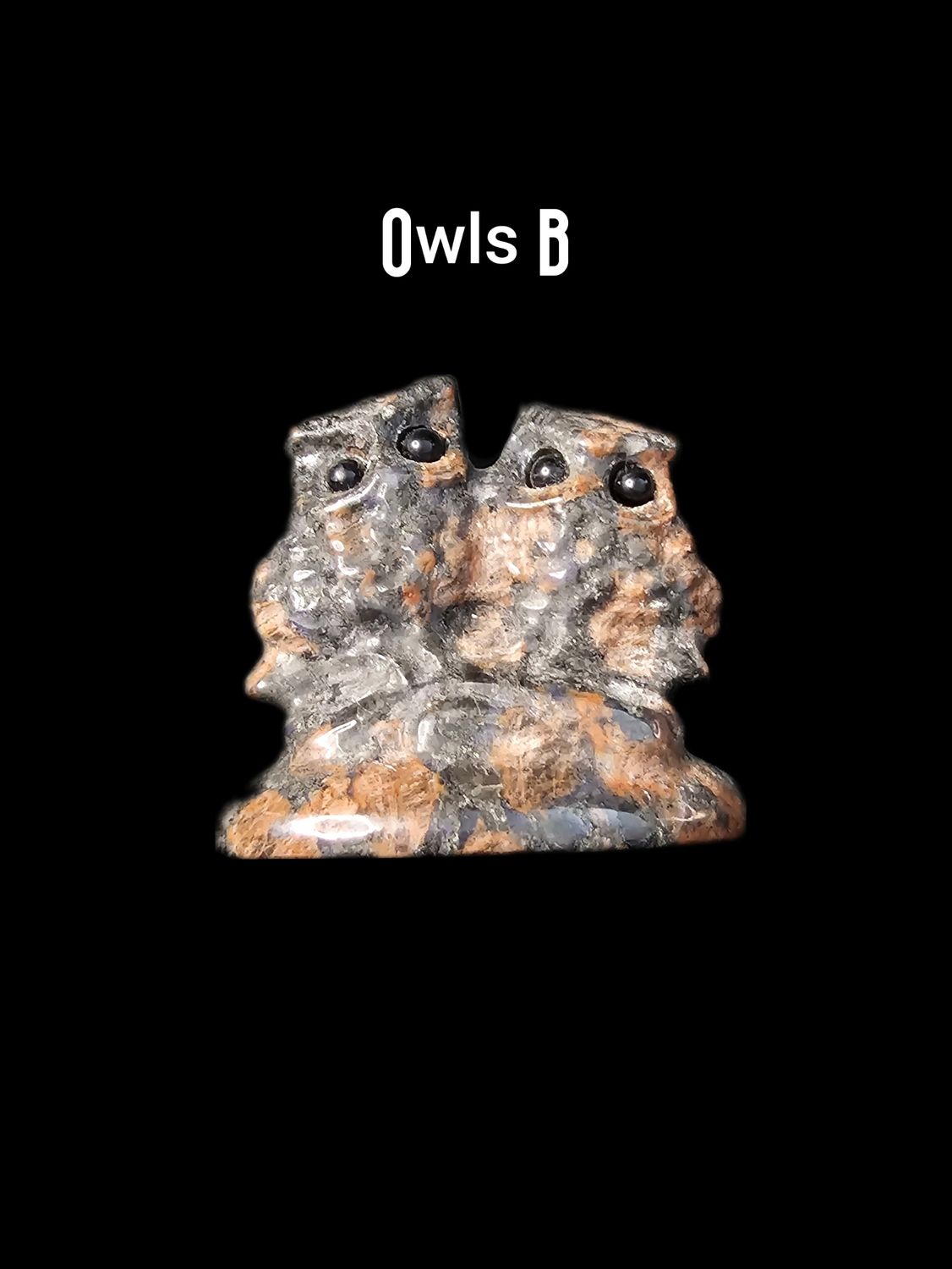 Owls (Love Birds)
