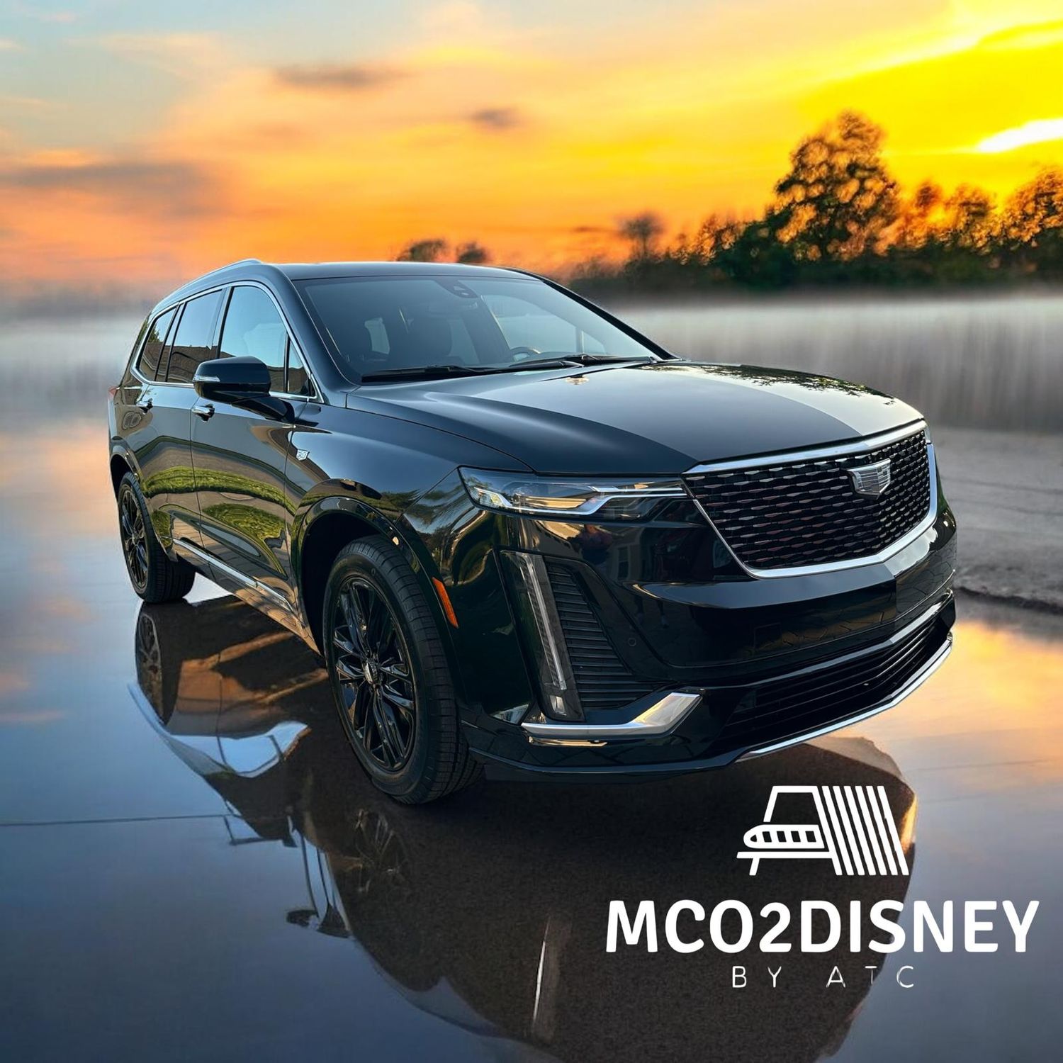 Port Canaveral to Universal Orlando Resorts ONE WAY