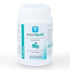 ERGYBASE