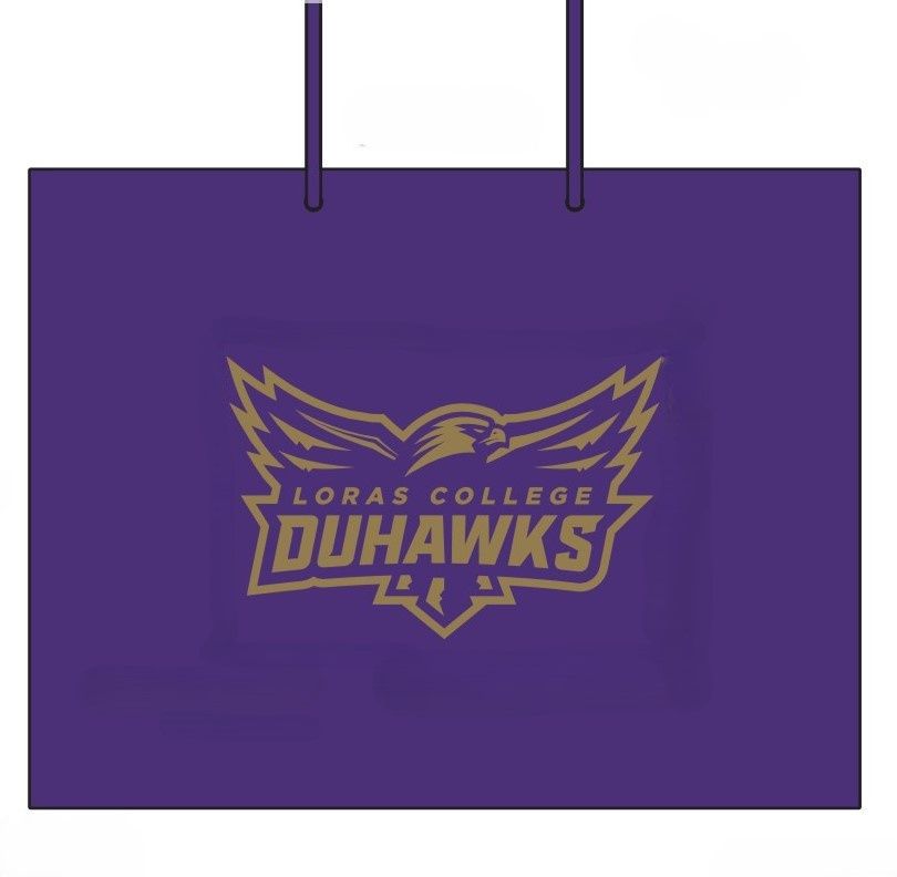 Custom Gift Bags, Variety: Large
