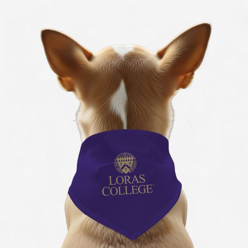 Pet Bandana