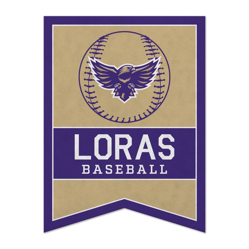 18"x24" Dovetail Sports Banner