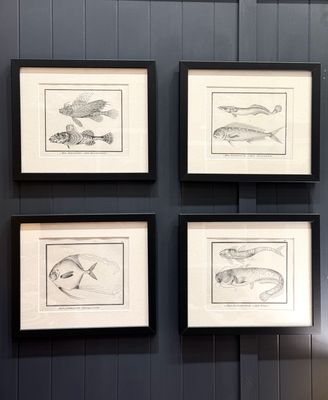 1850s Aquatic German Etchings