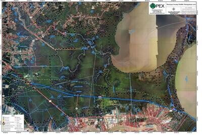 MAUREPAS SWAMP WMA