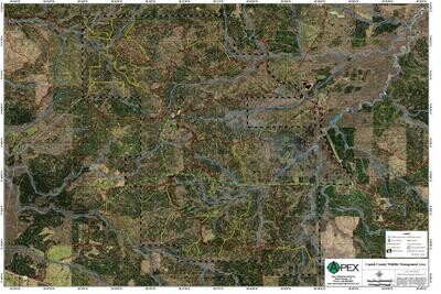 COPIAH COUNTY WMA
