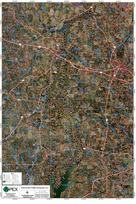 DIVIDE SECTION WMA