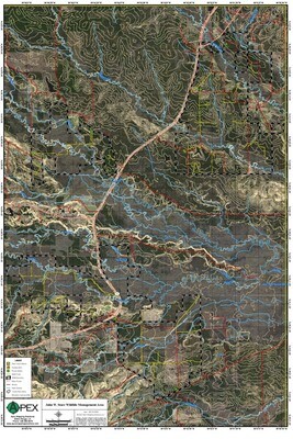 JOHN W. STARR MEMORIAL FOREST