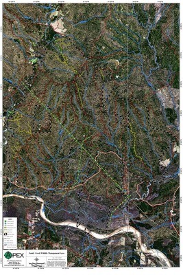 SANDY CREEK WMA