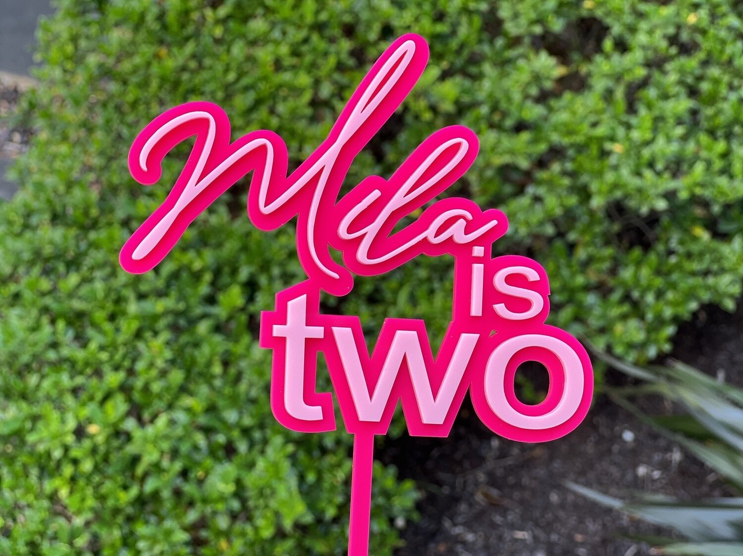 Name Is Two Double Cake Topper