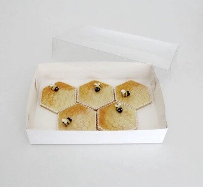 Biscuit Box with Clear Lid - 25.5cmx17.5cmx5cm