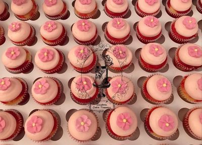 48 mini cupcakes 