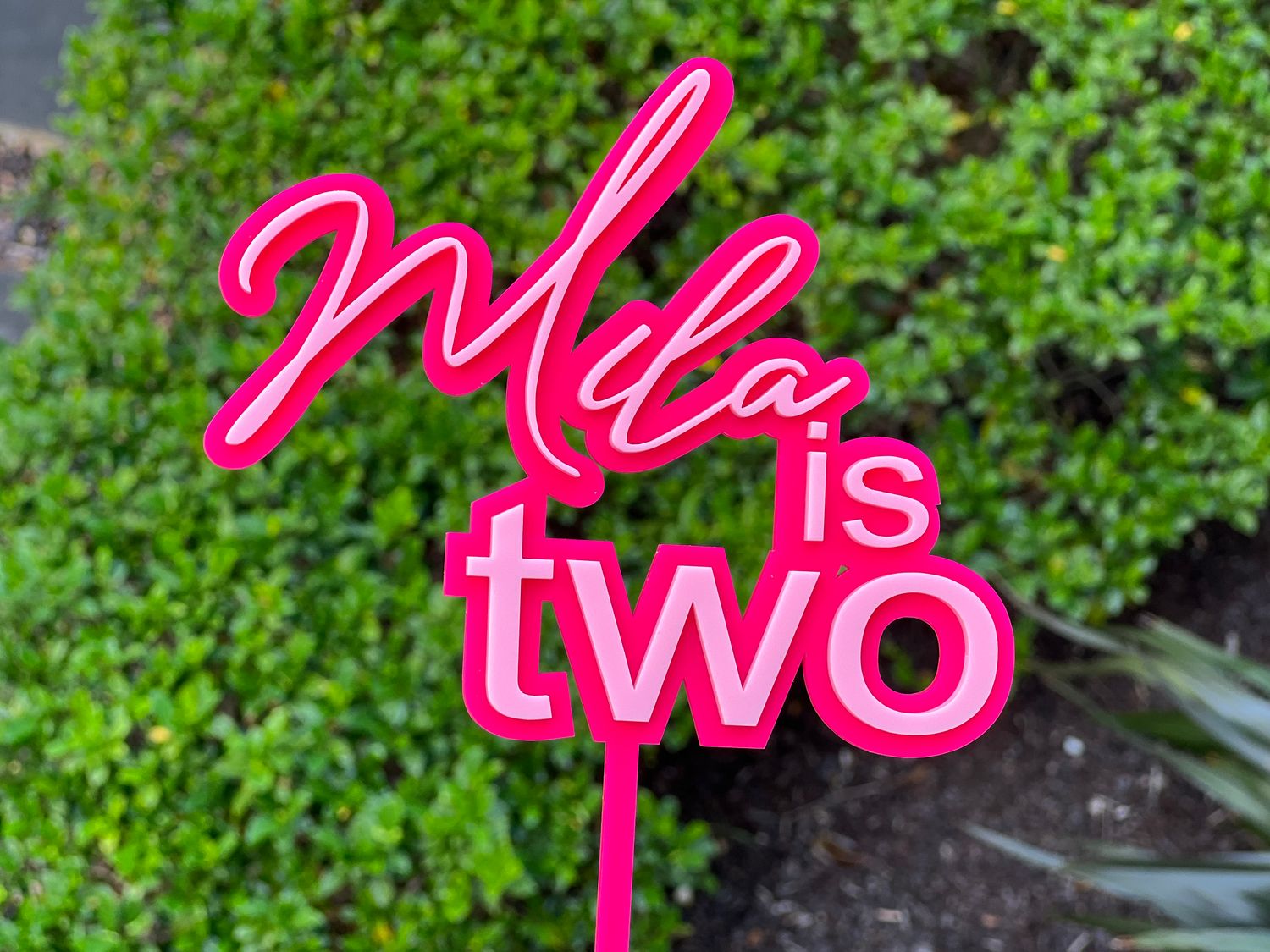 Name Is Two Double Cake Topper