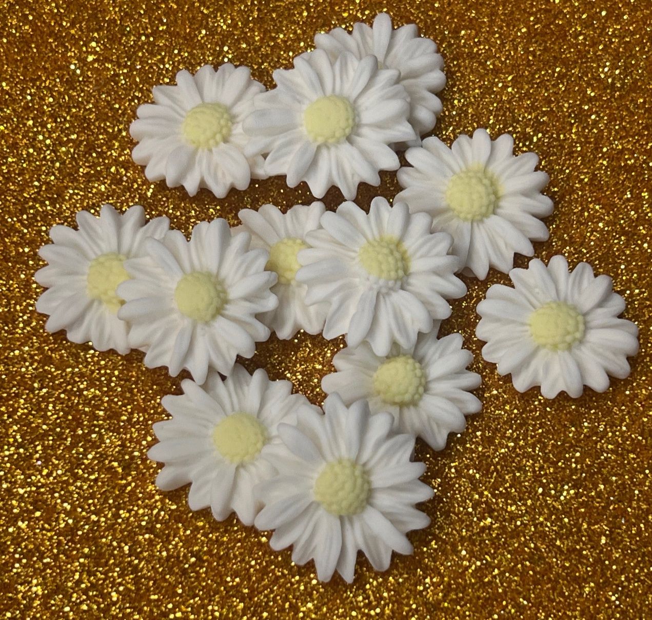 Daisy flower pack