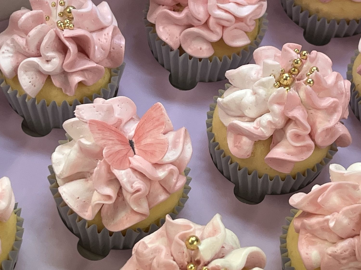 Mixed toned Butterfly Cupcakes