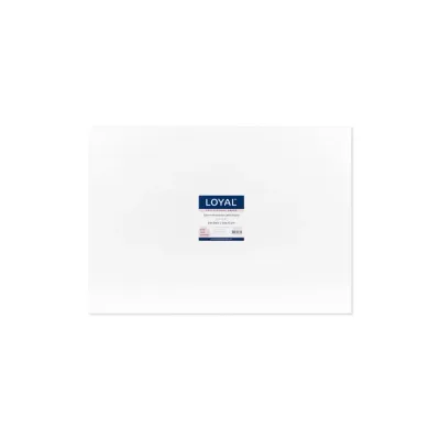 10mm Masonite White Board Full Slab (20x28")