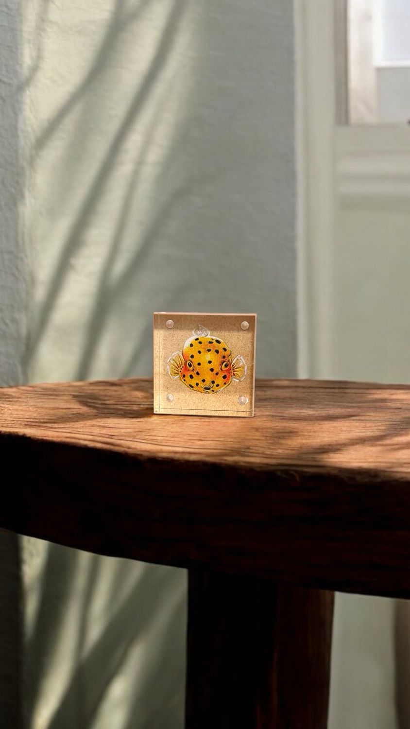 Mini Acrylic