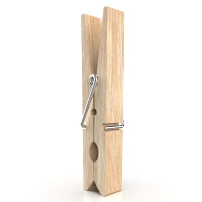 24 WOOD MAXIMOLAS BAG