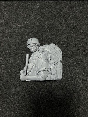Military ISAF 1 Flat