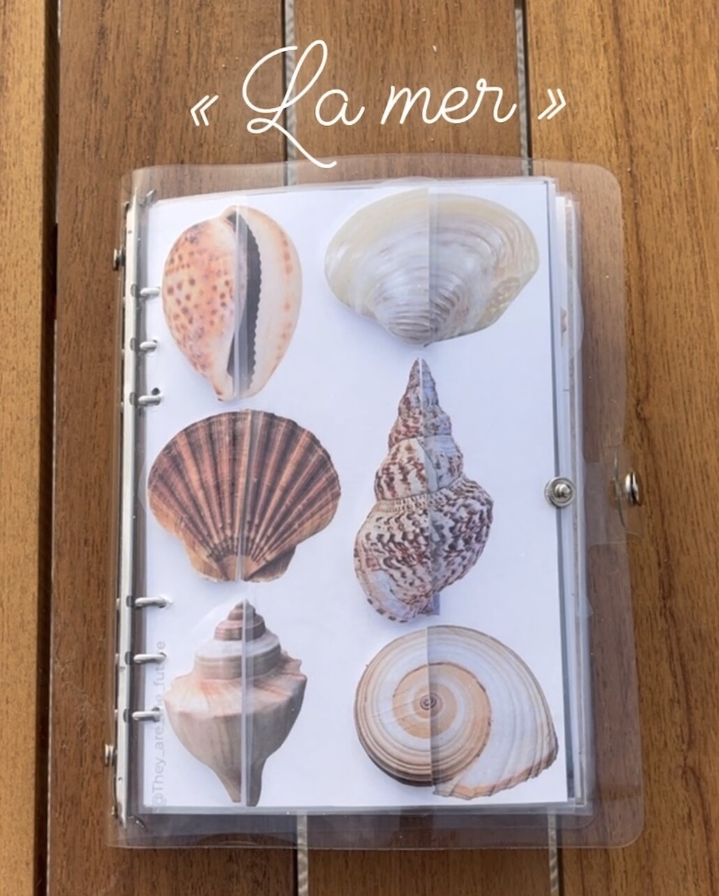 Summer Quiet Book
