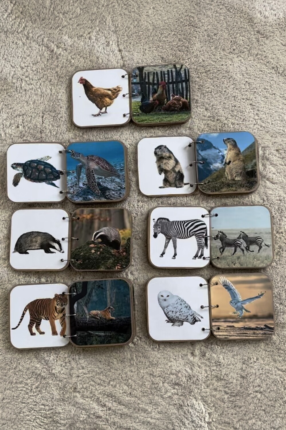 Mini book des animaux