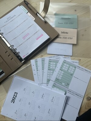 Organisation