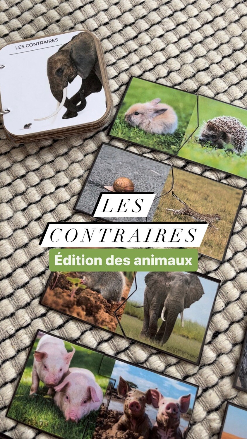 Mini book des contraires + puzzle