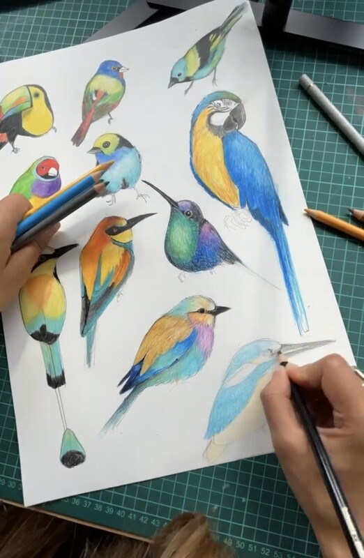 ​Drawing