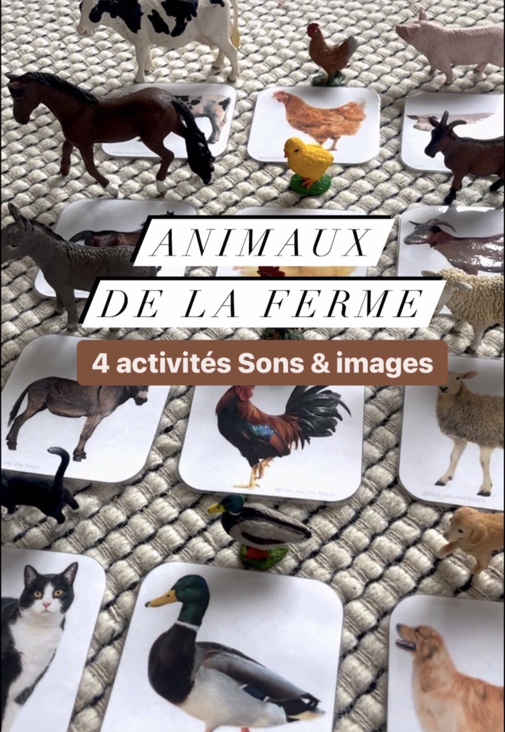 ​4 activities related to the farm: Sound and Image