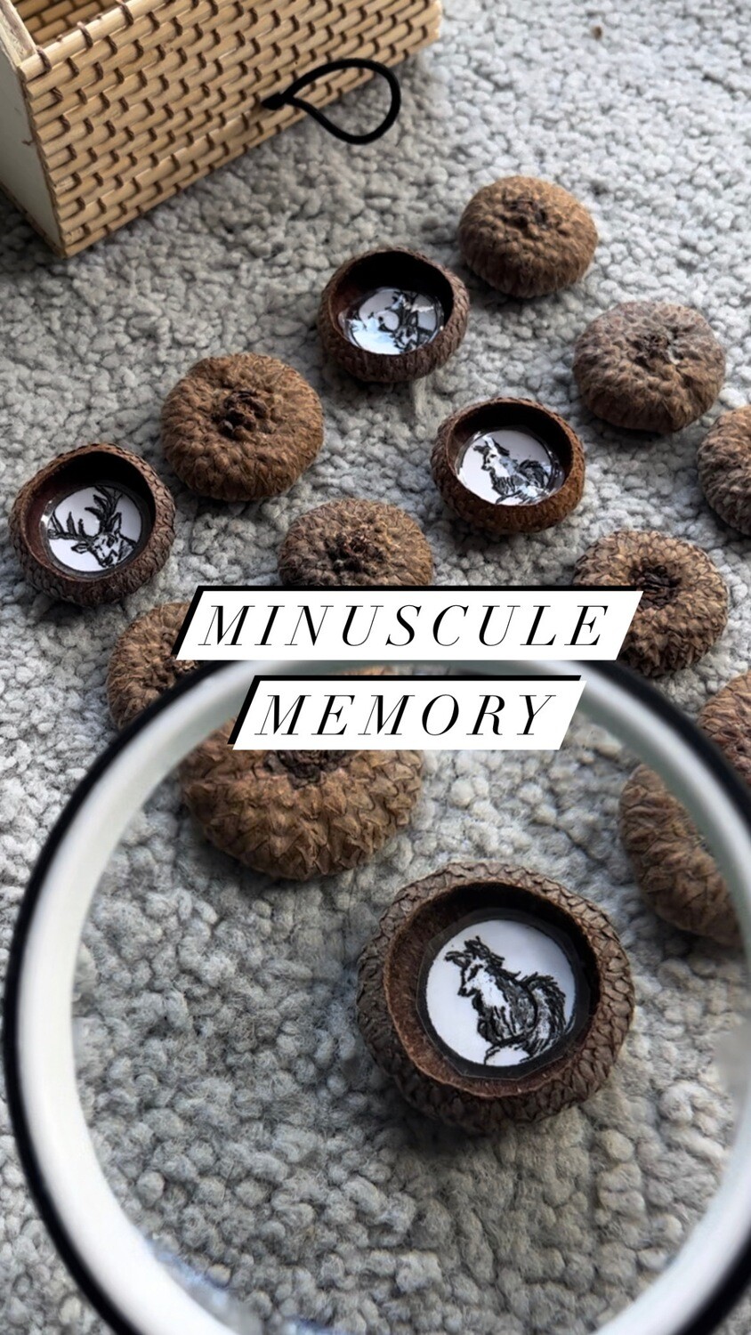 ​Tiny Autumn Memory Game