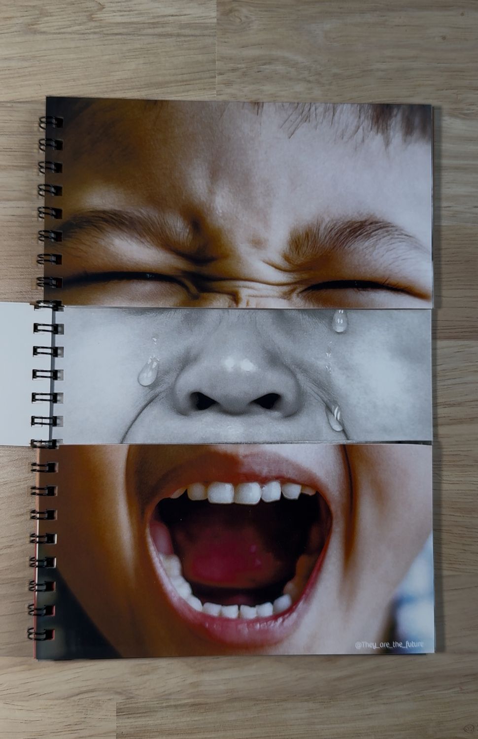 Emotion Flip Book - From 1 year old