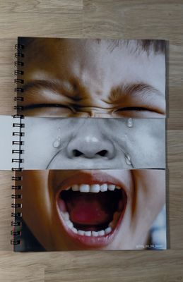 Flip book des émotions - Dès 1 an