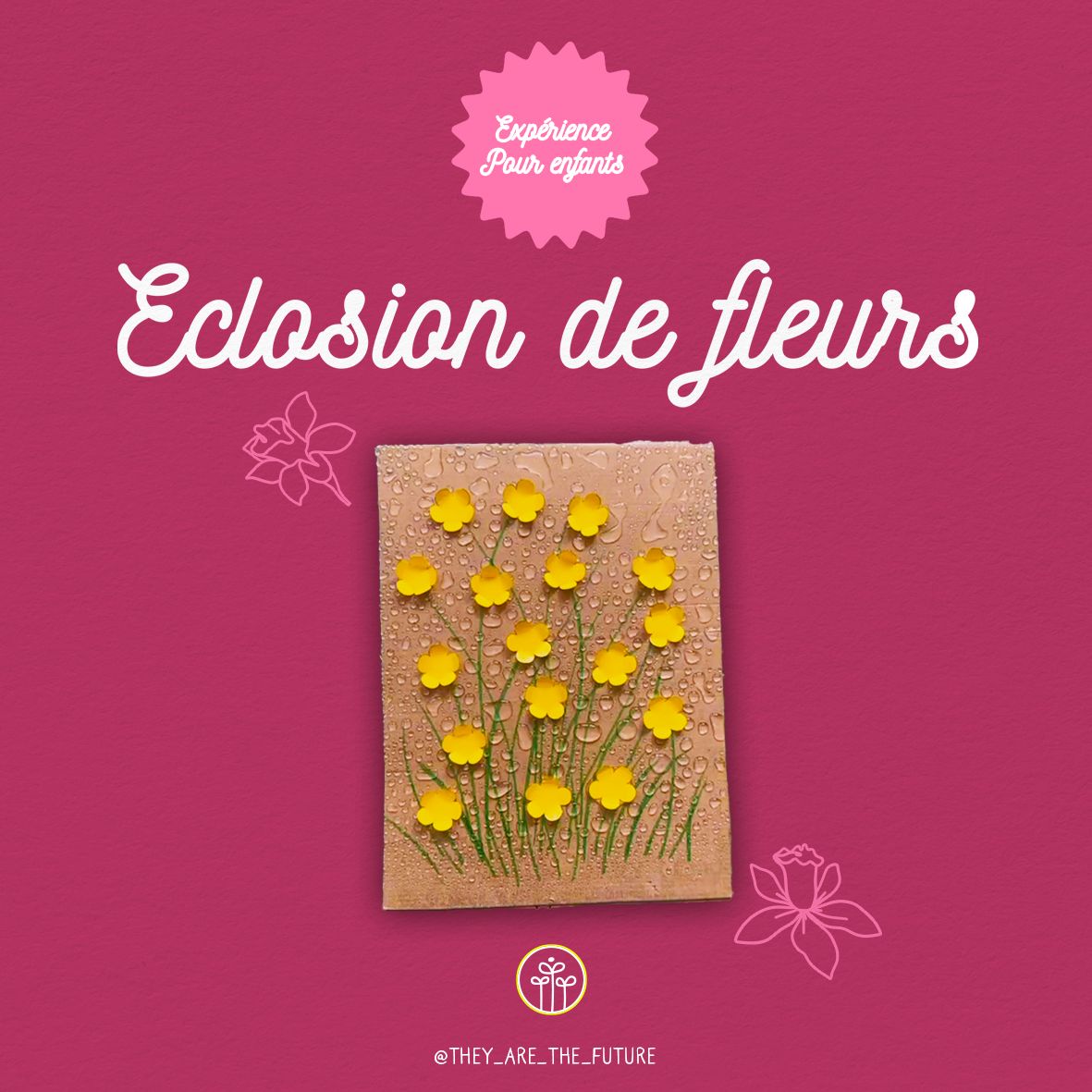 Experiment – Flower Blooming